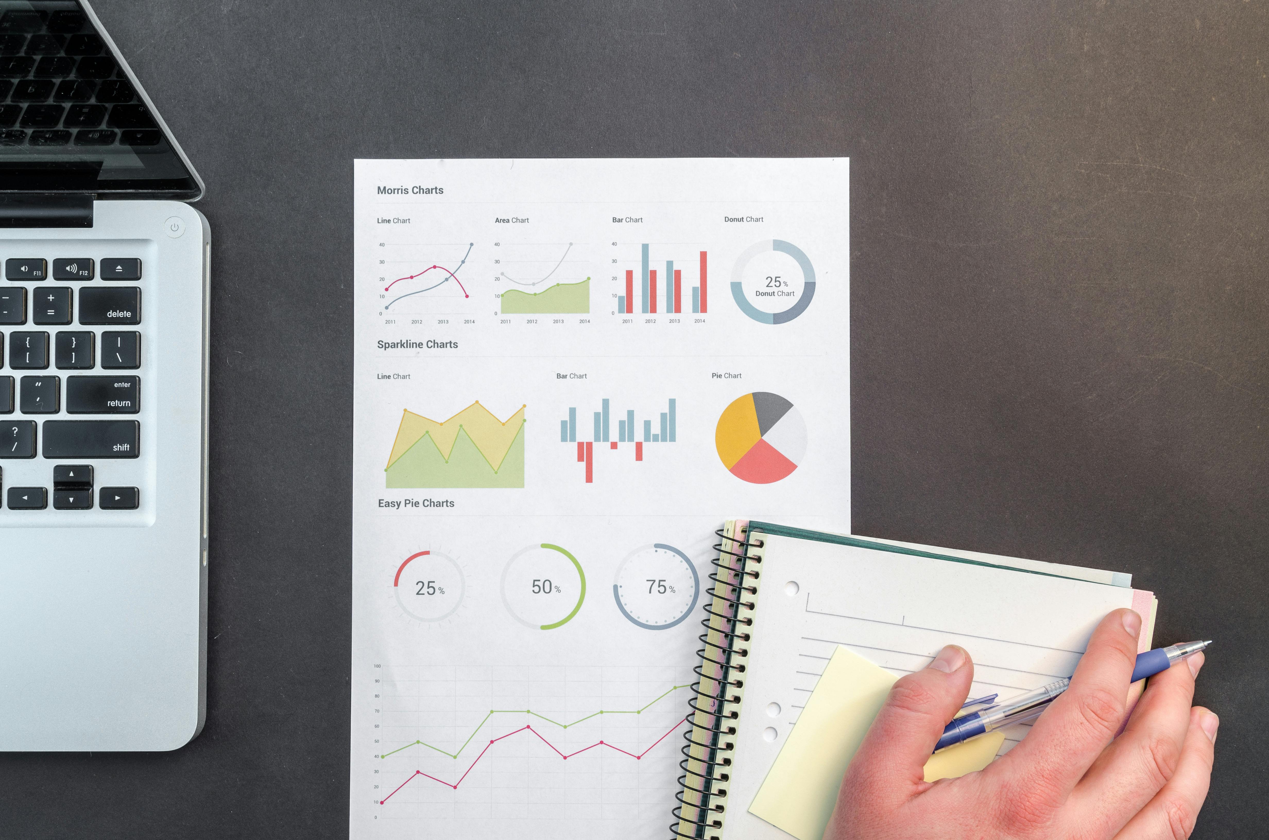 Data Automation & Reporting